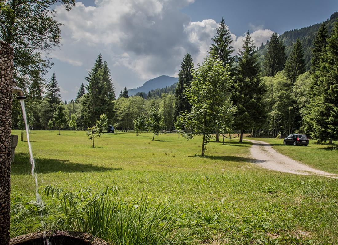 Paesaggio montano con prato verde, alberi, fontana e auto parcheggiata.