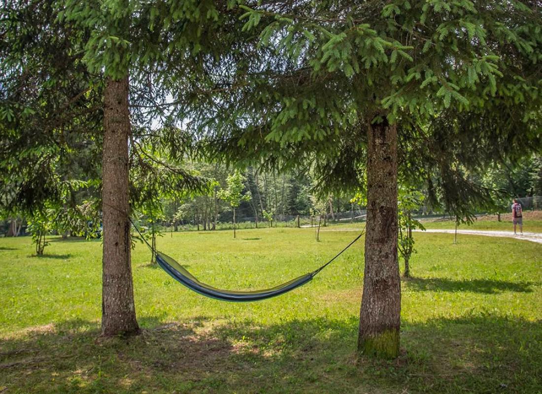 Amaca vuota tra due alberi in un prato verde, giornata soleggiata.
