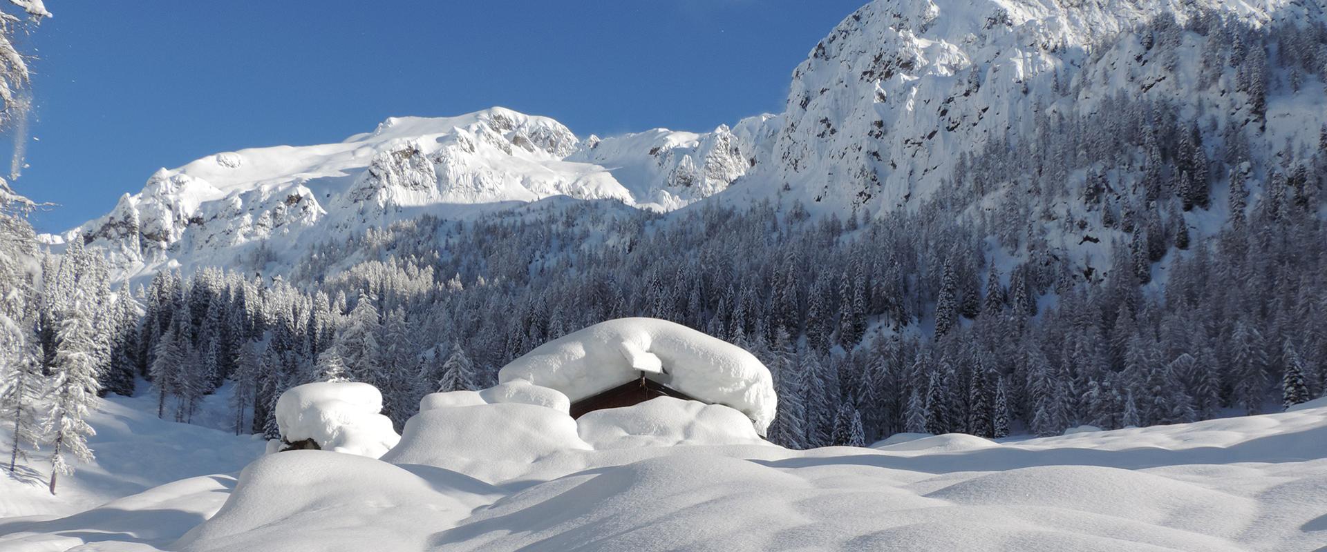 Paesaggio invernale con neve abbondante, montagne e foresta innevata sotto cielo azzurro.
