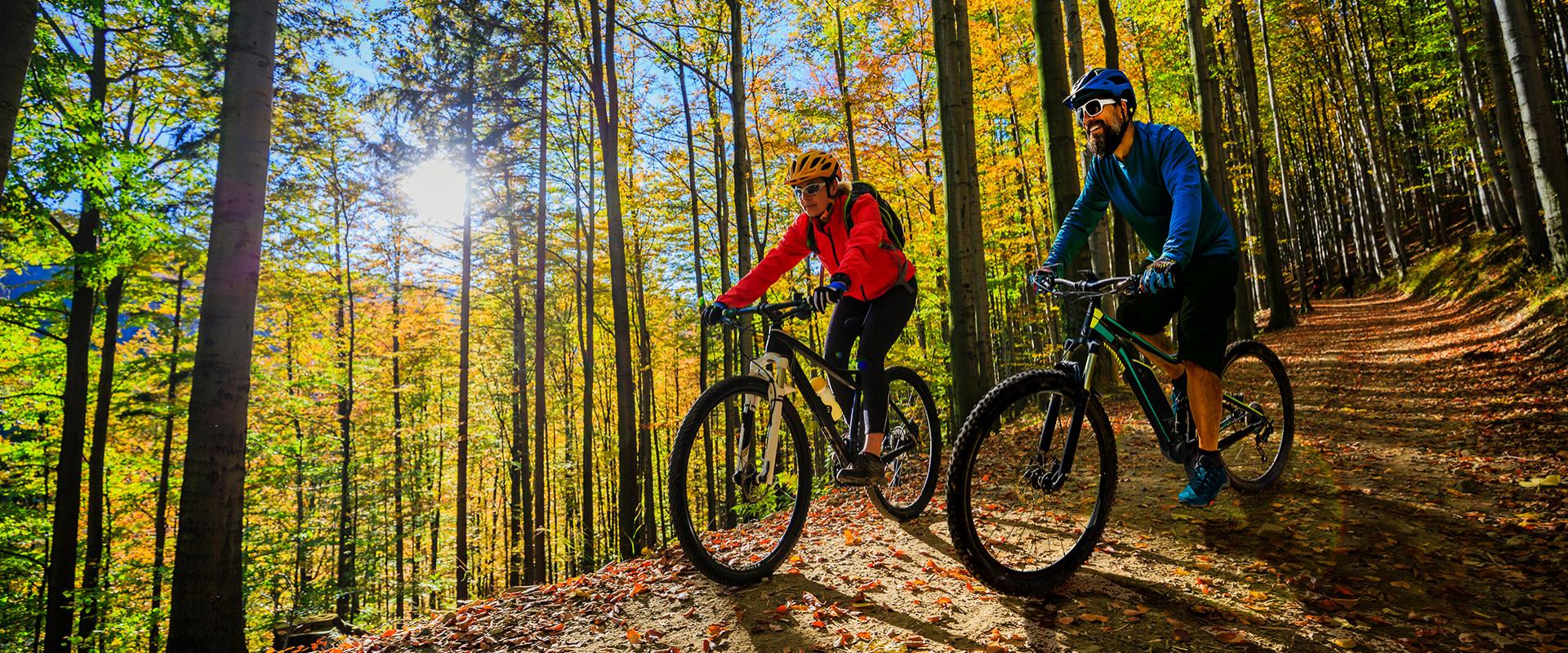 Due ciclisti percorrono un sentiero boscoso in una giornata di sole autunnale.