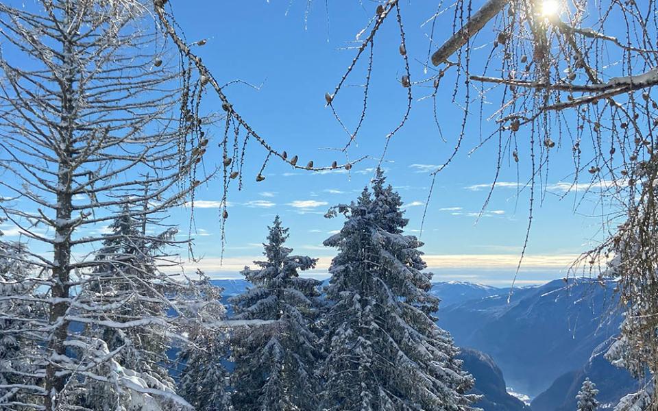 Scialpinista scende una montagna innevata con paesaggio alpino mozzafiato sullo sfondo.