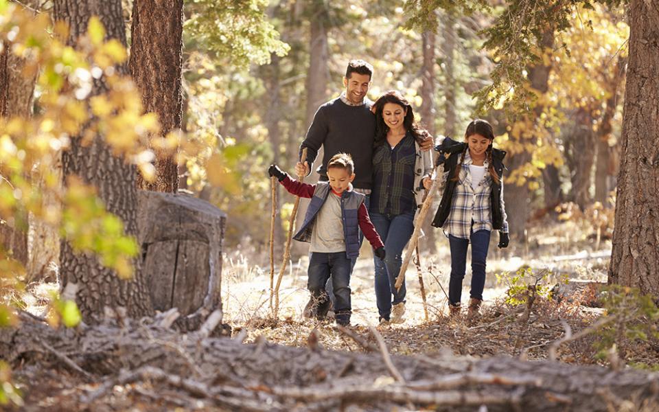 Famiglia cammina nel bosco autunnale, godendo della natura e del tempo insieme.